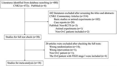 Efficacy and Safety of Chinese Herbal Medicine on Ovarian Cancer After Reduction Surgery and Adjuvant Chemotherapy: A Systematic Review and Meta-Analysis